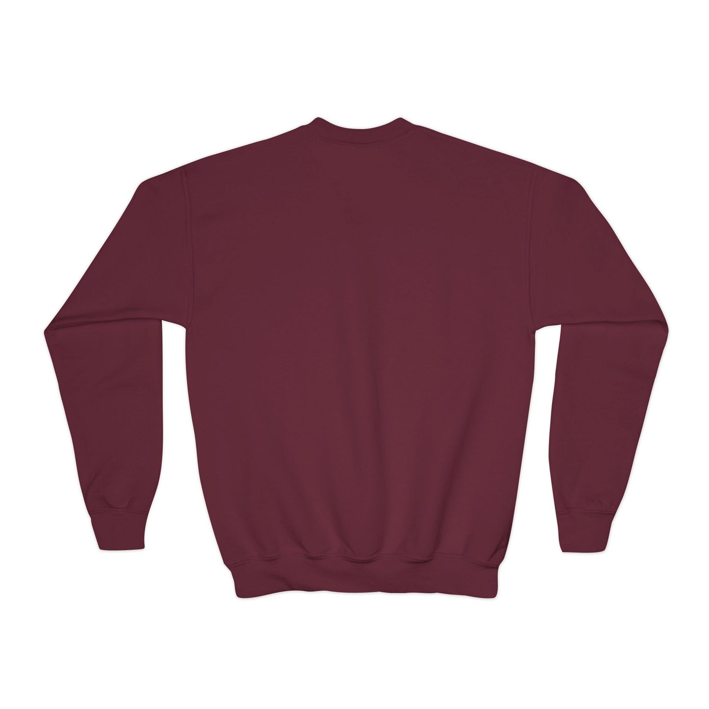 Youth Crewneck Sweatshirt Flag