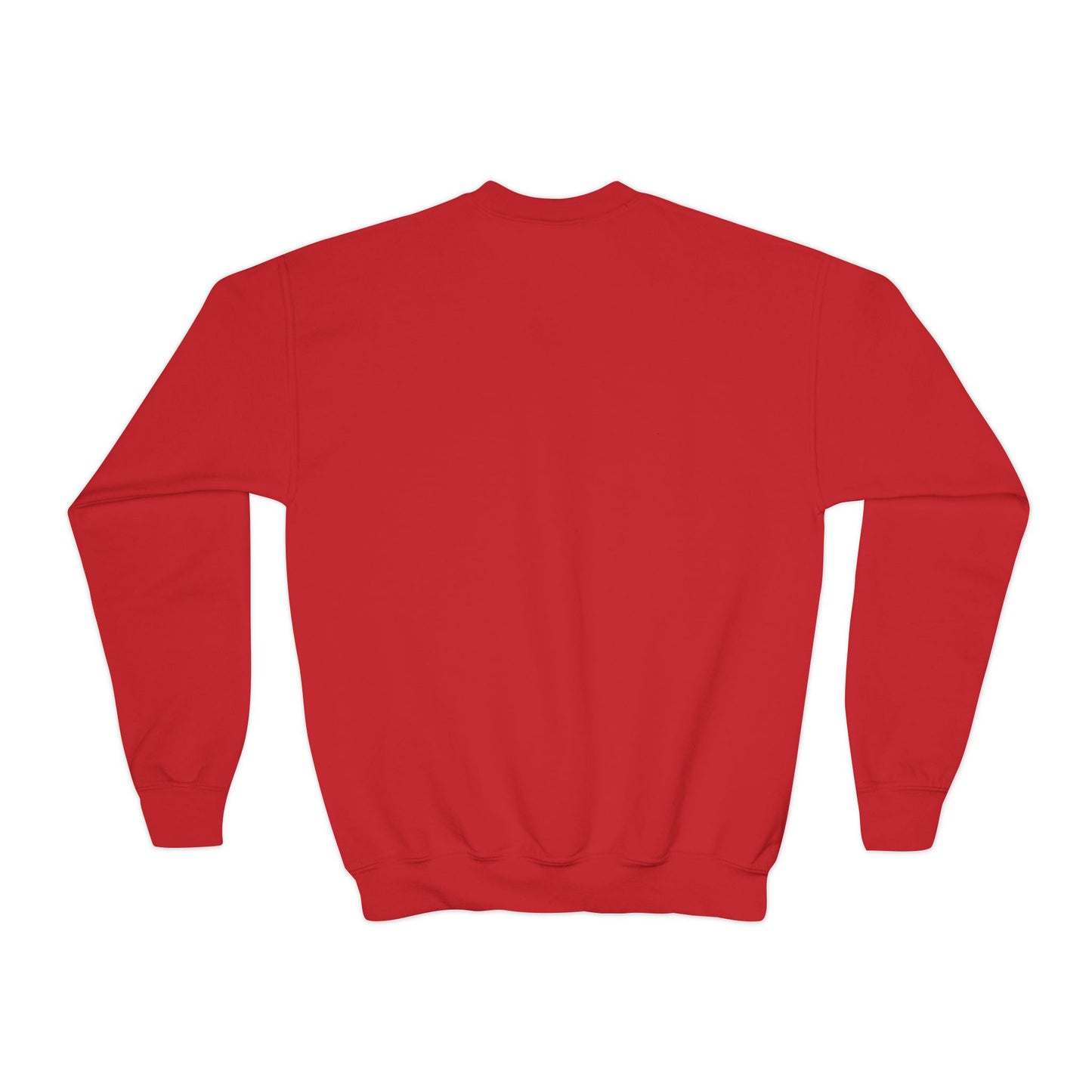 Youth Crewneck Sweatshirt Flag